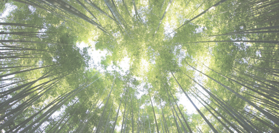 What do we mean by sustainable