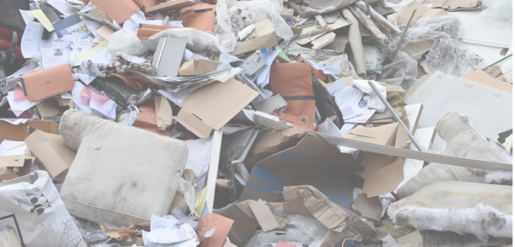 Zero Waste Movement