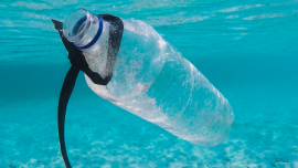 The Life of a Plastic Water Bottle